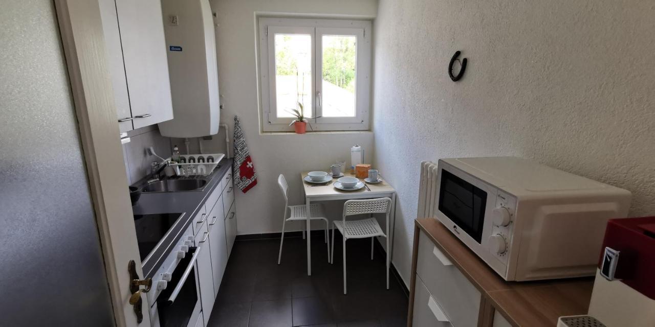 Helvetia 2 Zimmer Apartment Mit Parkplatz Zurich Exterior photo